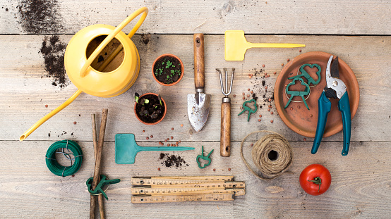 Top view vegetable gardening header image on old stained wooden planks. Arranged items flat lay.