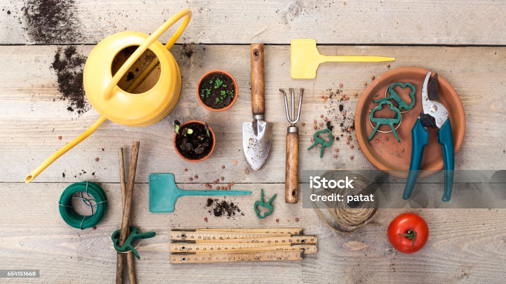 vegetable gardening header Top view vegetable gardening header image on old stained wooden planks. Arranged items flat lay. Gardening Equipment Stock Photo