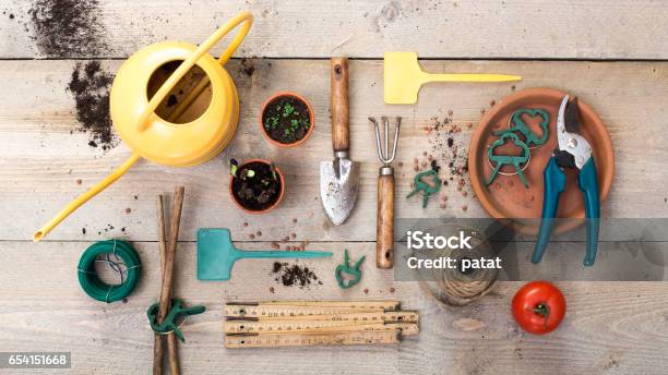 Vegetable Gardening Header Stock Photo - Download Image Now - Gardening Equipment, Gardening, Work Tool