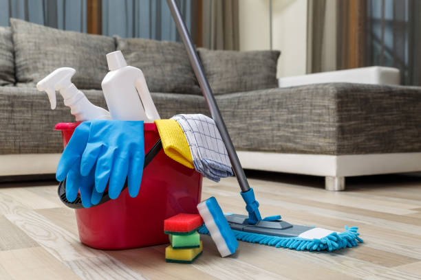 istock Cleaning service. Sponges, chemicals and mop. 654153588