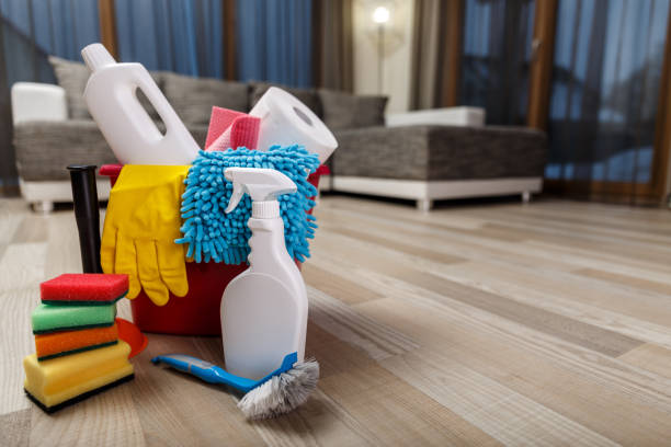 istock Cleaning service. Sponges, chemicals and plunger. 654154010