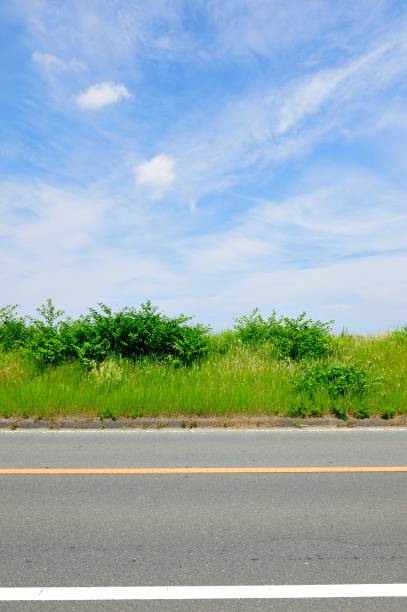 istock Road asphalt and weeds and blue sky 654157364