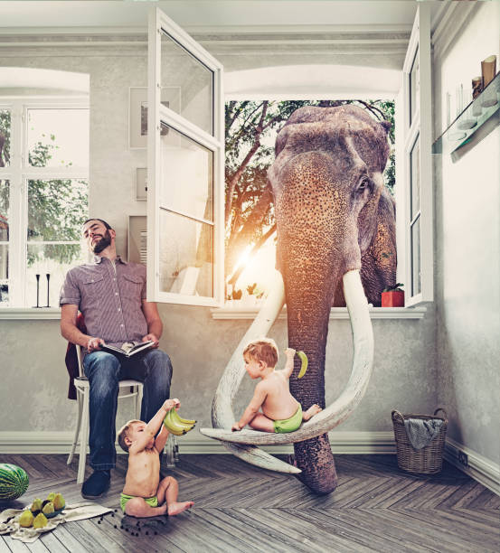 The elephant and the boys children fed the elephant through a window, while his father sleeping.  Photo combination concept animal related occupation stock pictures, royalty-free photos & images