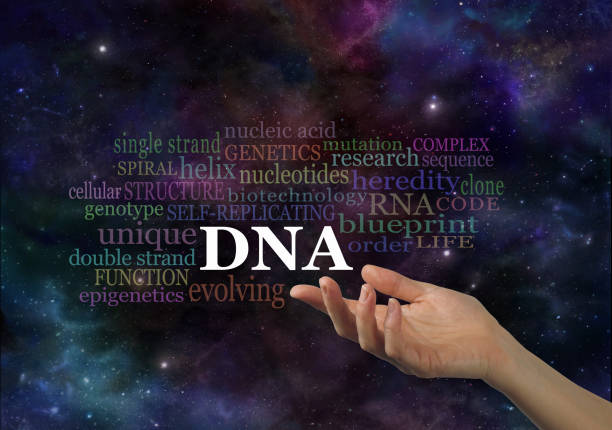 las características de nube de word de adn - dna helix individuality science fotografías e imágenes de stock