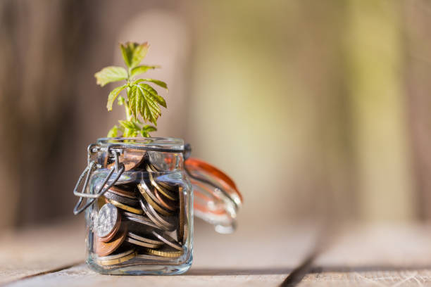 Coins in glass jar on wooden table with growing plant stock photo