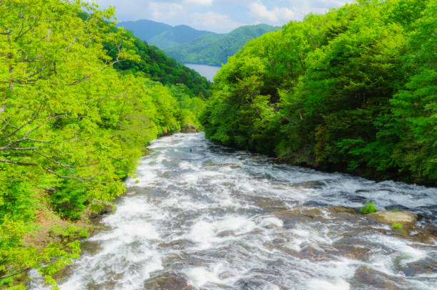 istock Ryuzu Falls with Fresh Green Leaves 654181162