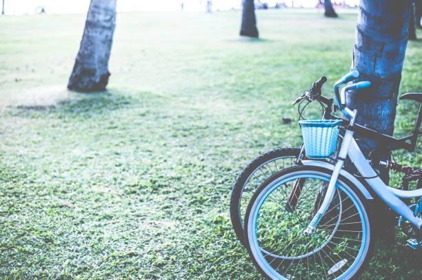 istock Bike leaning against a tree 654181206
