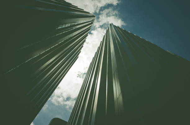 istock Bill looked up from the bottom of 654189646