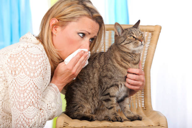 istock Woman with cat and handkerchief 654200994
