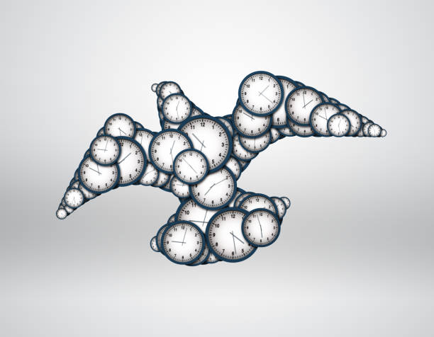 istock Watch the composition of the eagle, birdie 654206450