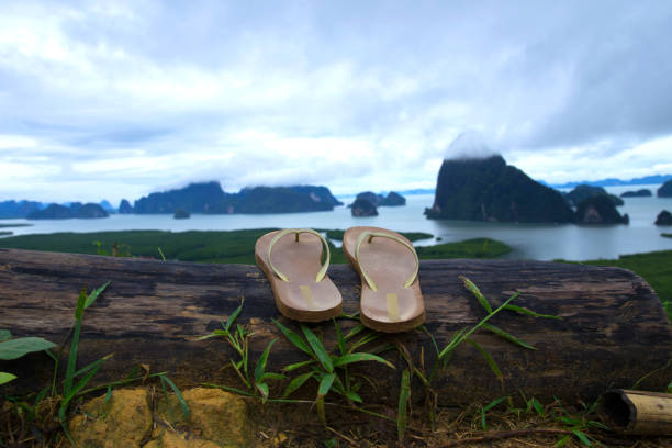 sandal leather on wood floor old.