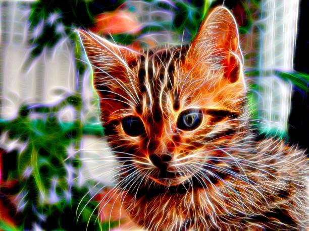 istock Image of a Bengal cat in neon light 654209984