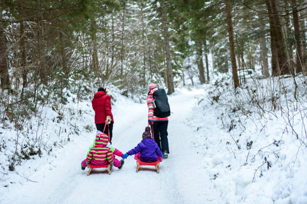 istock People are pulling sledge on the mountain road in woods. 654213268