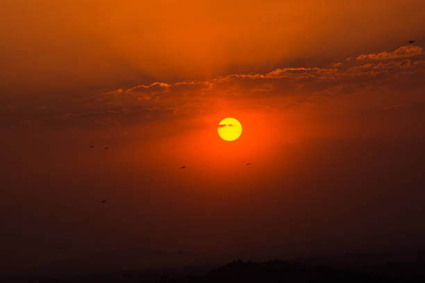 istock Sunset In The Horizone 654225110