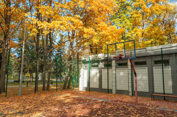 istock Sport ground with backboard against Indian summer foliage background 654227644