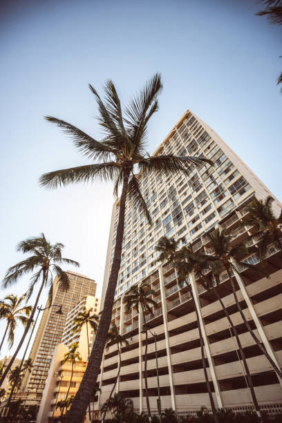 istock Residential district in Honolulu, Oahu, Hawaii, USA 654228636