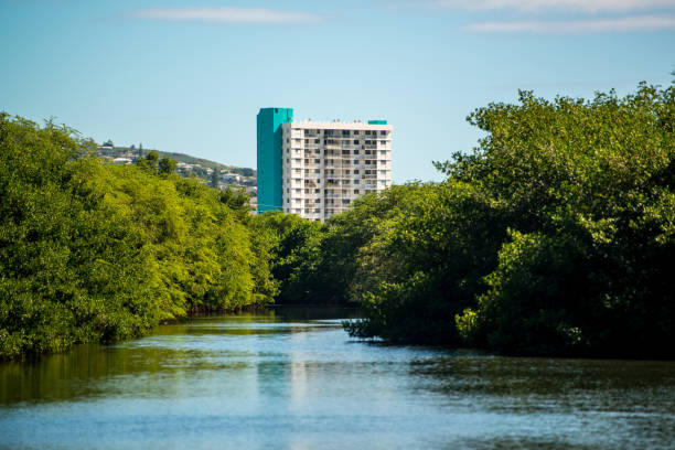 istock Residential district in Honolulu, Oahu, Hawaii, USA 654231092