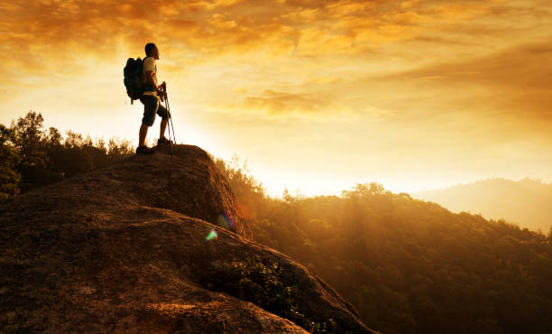 istock Male hiker standing on a rock 654231770