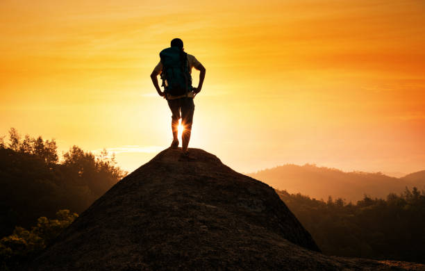 istock Male hiker standing on a rock 654232228
