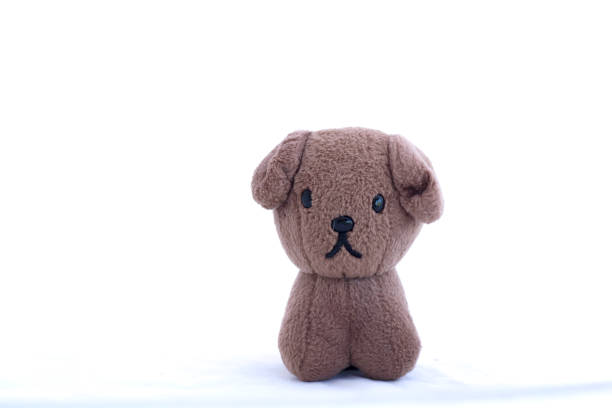 Brown dog doll on white background