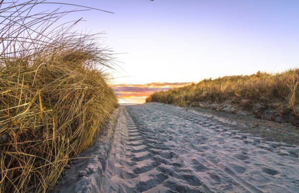 istock Wheel tracks on sand road, Lista Norway. 654238112