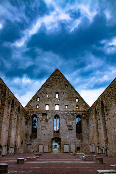 alten zerstörten st. brigitta konvent in pirita region, tallinn, estland - estonia tallinn old ruin ruined stock-fotos und bilder