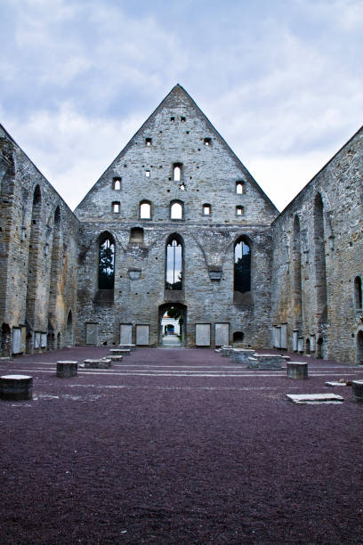 alten zerstörten st. brigitta konvent in pirita region, tallinn, estland - estonia tallinn old ruin ruined stock-fotos und bilder