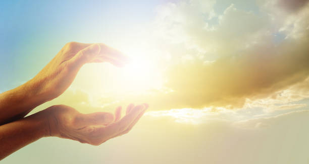 istock Beautiful moment in Nature 654285048