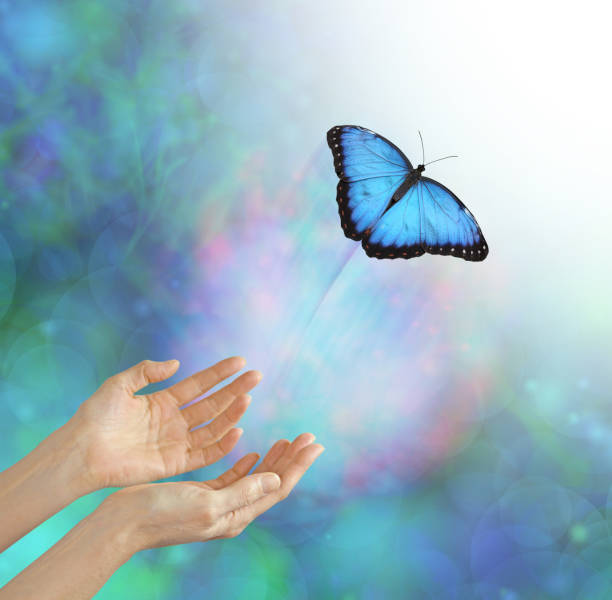 istock Releasing a Soul Into the Light - Buttefly Metaphor 654288594