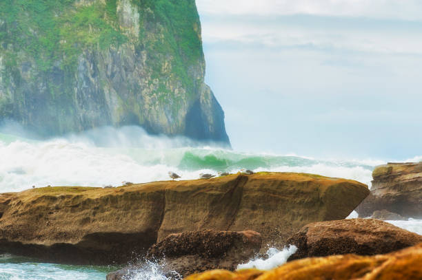 Looking out at haystack rock from the rocky shores of Cape Kiwanda in Pacific City on the Oregon Coast