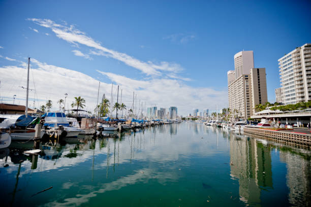 istock Residential district in Honolulu, Oahu, Hawaii, USA 654317388
