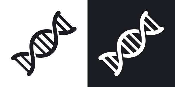 벡터 dna 아이콘입니다. 검은색과 흰색 배경에 톤 버전 - genetic research stock illustrations