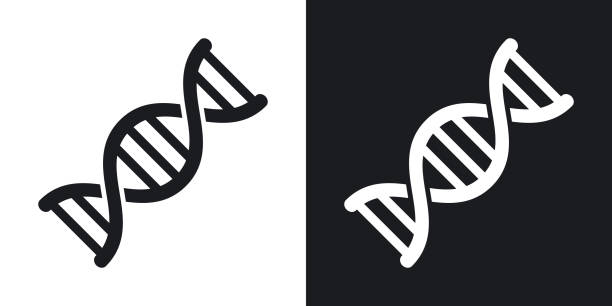 Vector DNA icon. Two-tone version on black and white background Vector DNA icon. Two-tone version on black and white background genetics stock illustrations