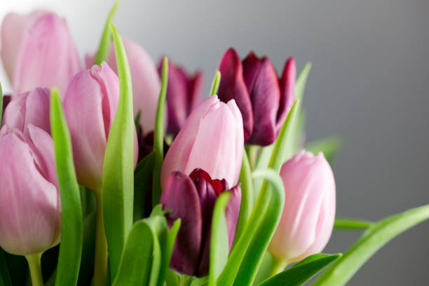 istock A colorful bouquet of tulips 654338422