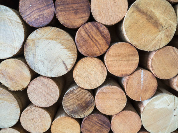 istock Round teak wood stump background 654338442