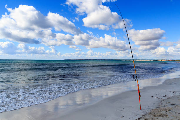 istock Fishing rod on Platja Es Trenc beach panorama, Majorca, Spain 654350794