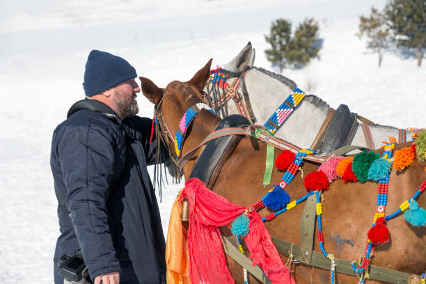 istock The Horse whisperer Photographer 654357092