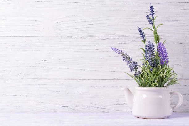 Lavender flowers in watering can, wooden background, copy space Lavender flowers in watering can, light wooden background, copy space watering pail stock pictures, royalty-free photos & images