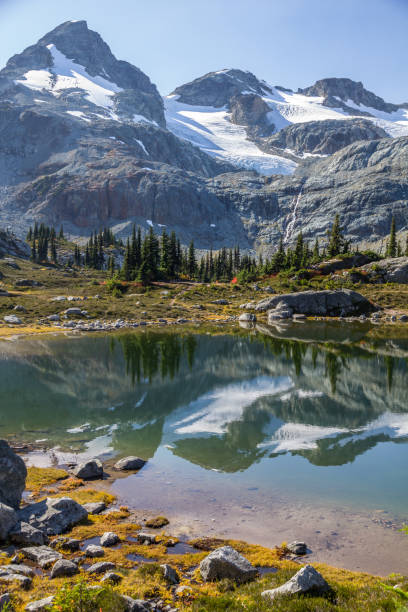 istock Face Mountain, glaciers and conifer tree reflections, Semaphore Lakes, Canada 654363736