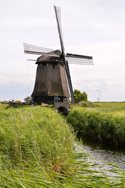 clássico moinho de vento vintage na holanda - clayton - fotografias e filmes do acervo