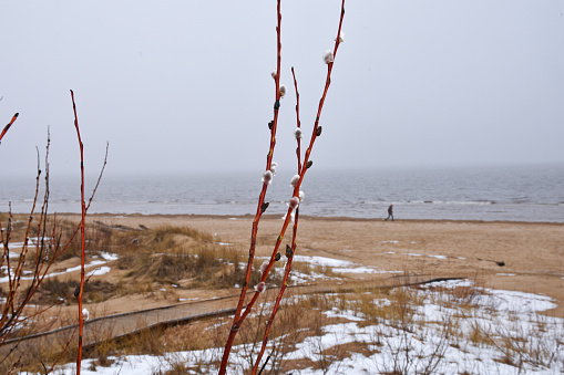 Baltic sea in winter. Sand with snow.