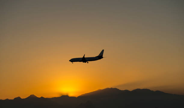 istock Low angle view of airplane moving at sunset 654395126