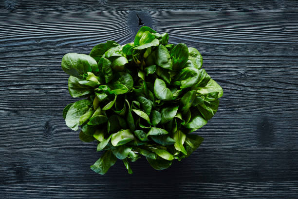 istock green salad centered on dark wooden surface 654400580
