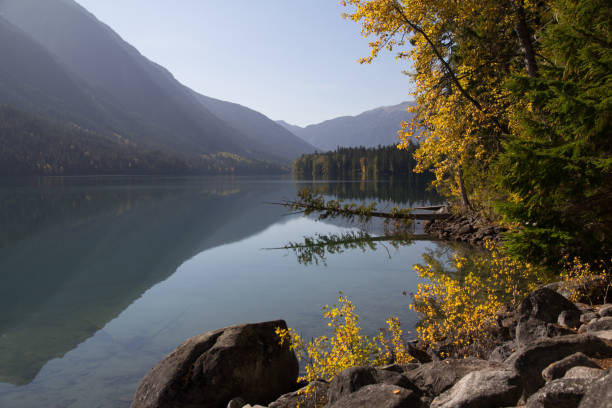 istock Sun and Shade, Birkenhead Lake, BC, Canada 654401648