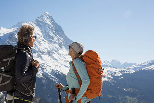 istock Hikers look out to snowy mountains from trailside 654401679