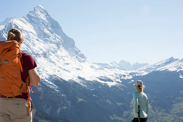 istock Hikers look out to snowy mountains from trailside 654401729