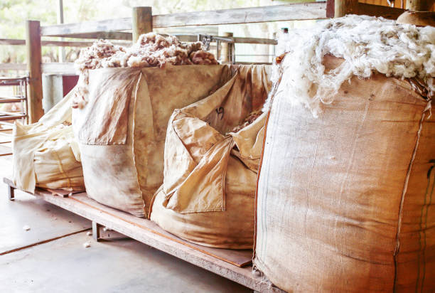 Sheep wool Fresh sheep wool in bags ready to be shipped wool stock pictures, royalty-free photos & images