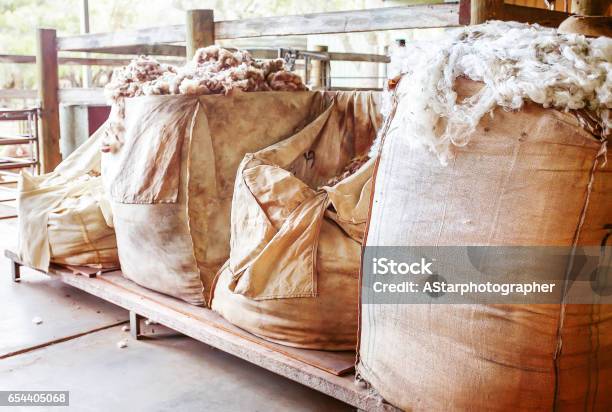 Sheep Wool Stock Photo - Download Image Now - Wool, Sheep, Australia