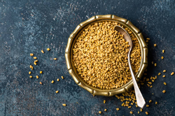 Fenugreek seeds on metal plate, spice, culinary ingredient Fenugreek seeds on metal plate, spice, culinary ingredient fenugreek stock pictures, royalty-free photos & images