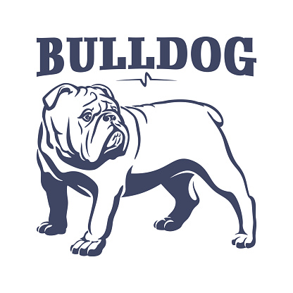 British bulldog mascot emblem. Dog vector illustration